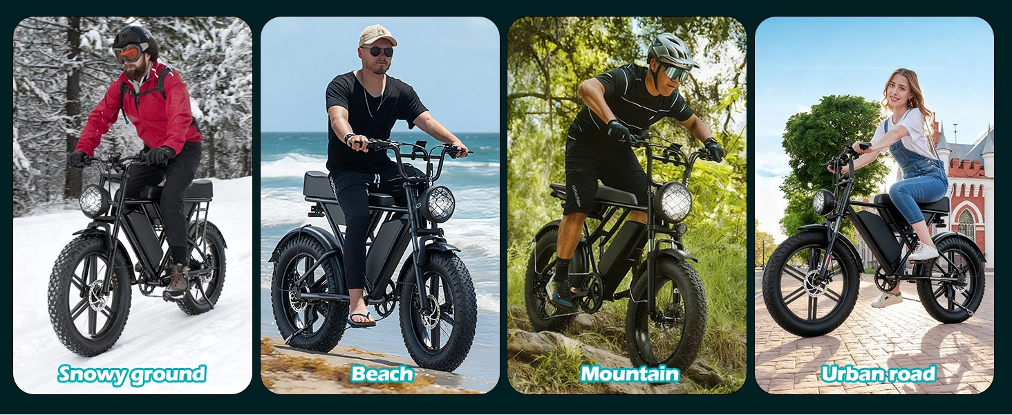 fat tyre electric bike mountain trail stability